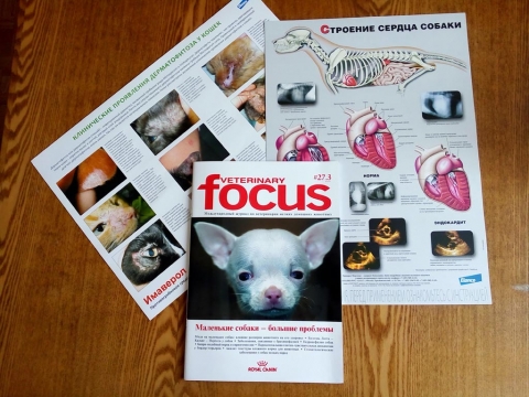 ������� � ��������� ������������ ���������