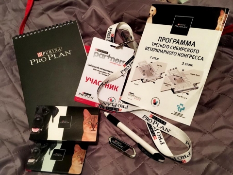 ������ ��������� ������������ ��������