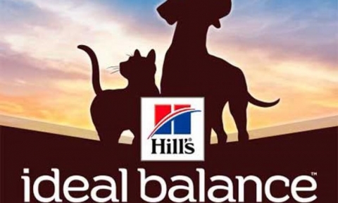 ������� � �������������� �������� Hill's