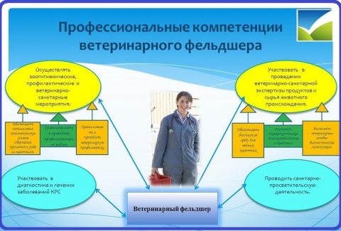 ���������� ���������-���������������� ������������.