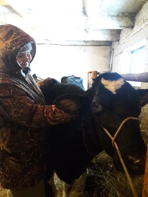 ������� �������� �� 01.02. �������������.