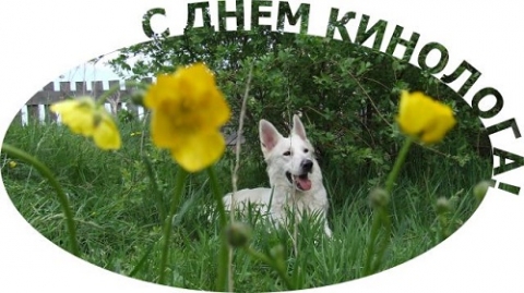 �110 ��� ���������� ������������� ������