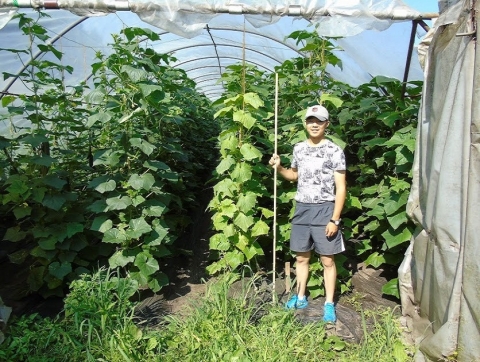 �������� � ����������� ��� ��������� �������������� ���