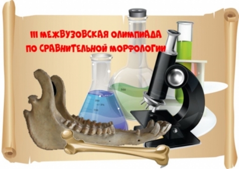 ����� � III ������������ ���������