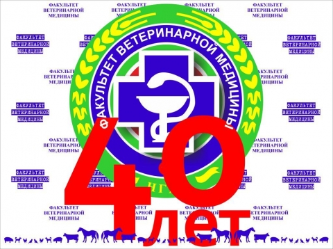 ������ ���