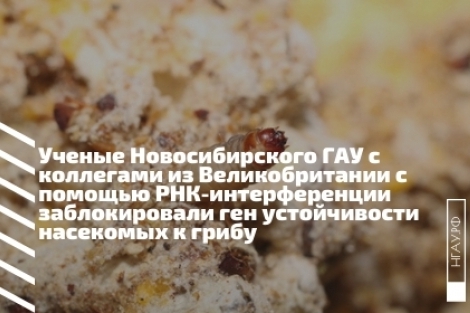 ������ �������������� ��� � ��������� �� �������������� � ������� ���-������������� ������������� ��� ������������ ��������� � �����