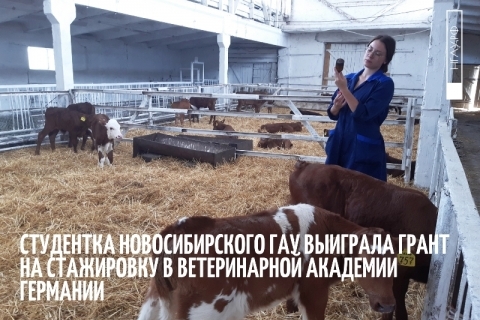 ��������� �������������� ��� ������ ���������� � �������� �� ��������� ������������ �������� HCS