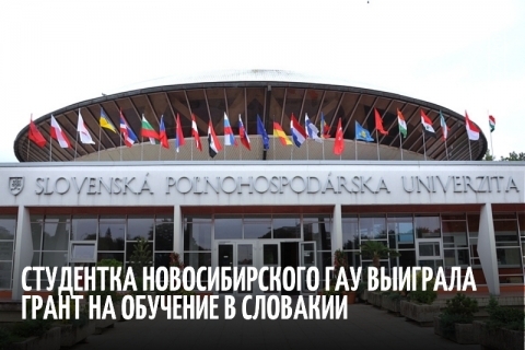 ��������� �������������� ��� �������� ����� �� �������� � ��������