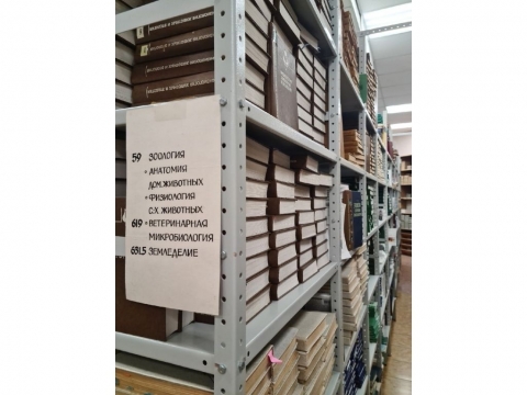 ��������������� ����������