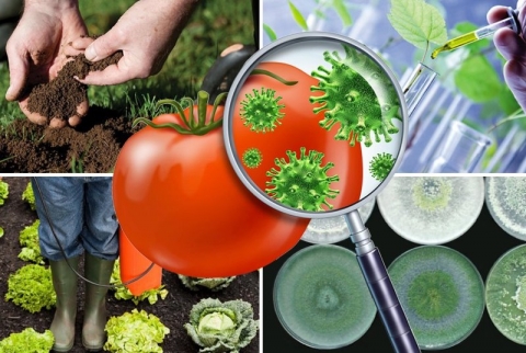 � ��������� ���� ���������� ���������� �������� �������� 