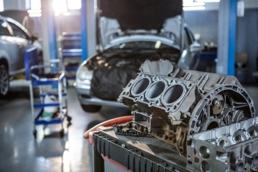 ������������� ��� ���������� � ������� � XIV ������������� ������-������������ ����������� ���������� � ��������� ������������ ������� ����� � �������������