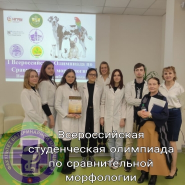 ������������� ������������ ��������� �� ������������� ����������