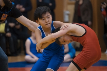 � ������������� ��� ������ V ������ �� �����-������� ������ ������ �.�. ����������